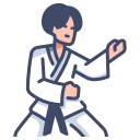 কোচসিস 91 karate